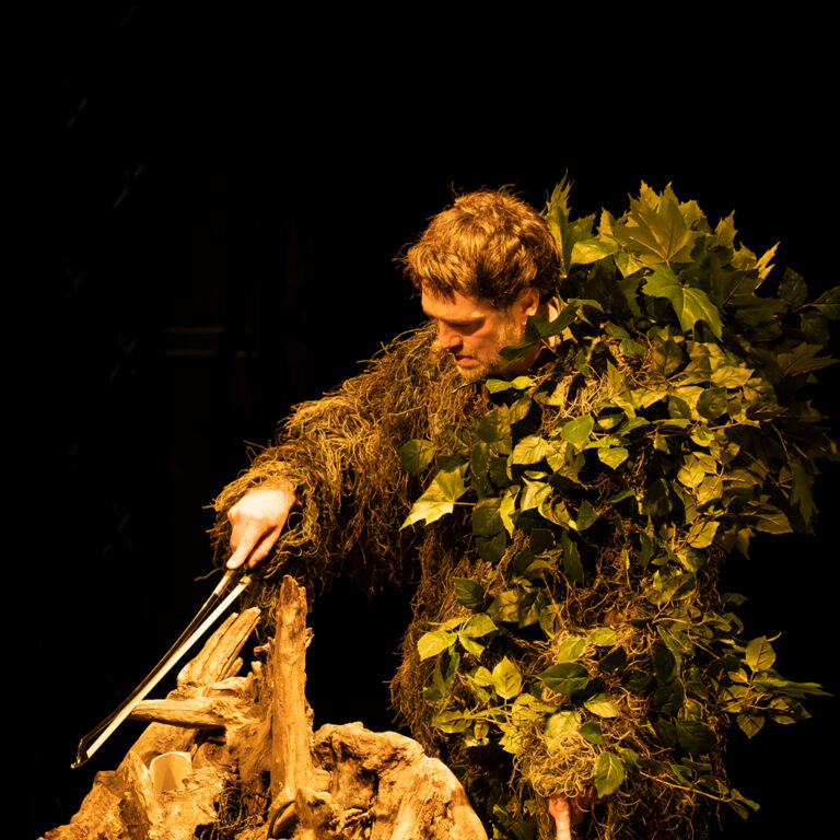 Eine Person ist in Blätter und Gras gekleidet und spielt mit einem Geigenbogen auf einem Baumstumpf.